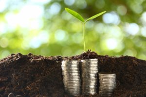 Small-trees-on-pile-of-coins