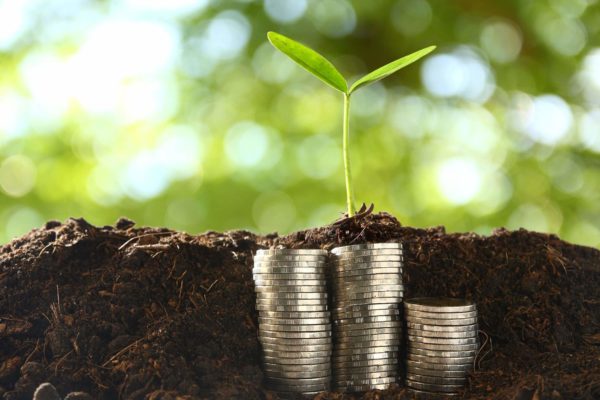 Small-trees-on-pile-of-coins
